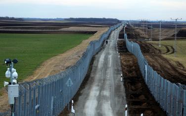 Bodljikava žica na granici Mađarske sa Srbijom