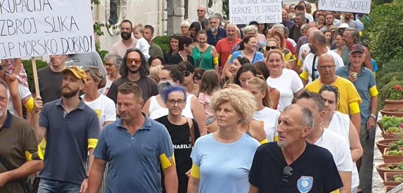 Sa protestne šetnje