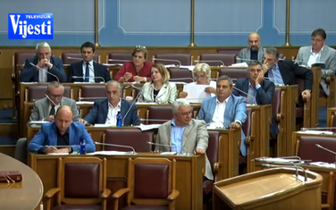 Detalj sa sjednice Skupštine