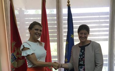 Vuksanović Stanković i Kemp