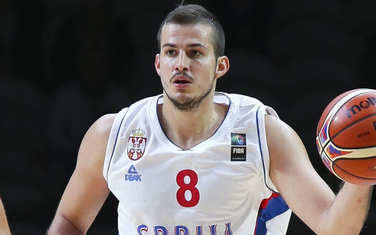 Bjelica