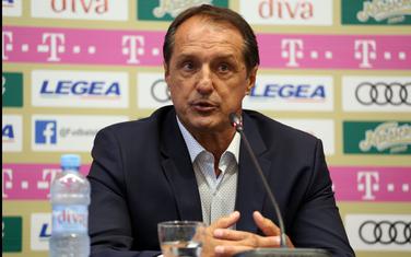 Faruk Hadžibegić