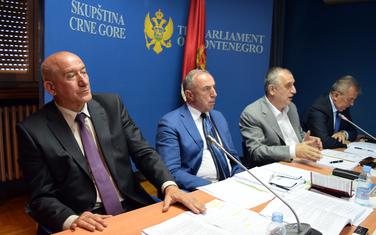 “Zataškavanje afere”: Katnić i Stanković na sjednici Odbora za antikorupciju (arhiva)