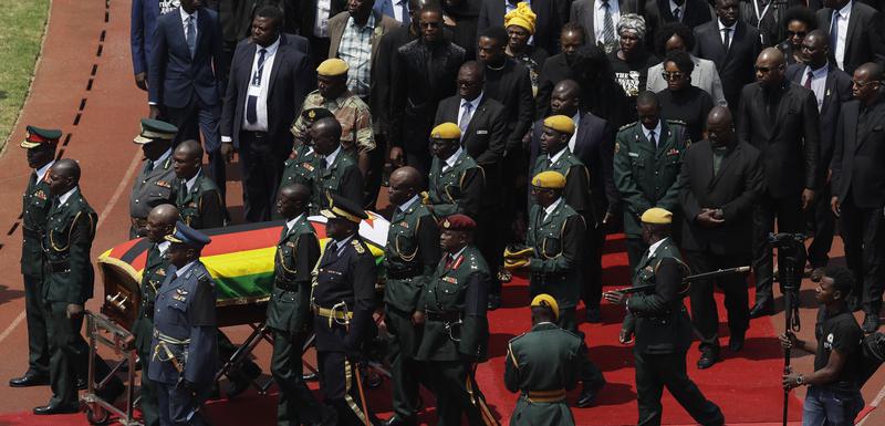 Detalj iz Zimbabvea