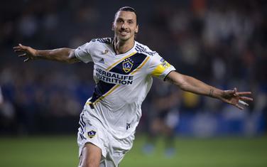 Ibrahimović proslavlja pogodak