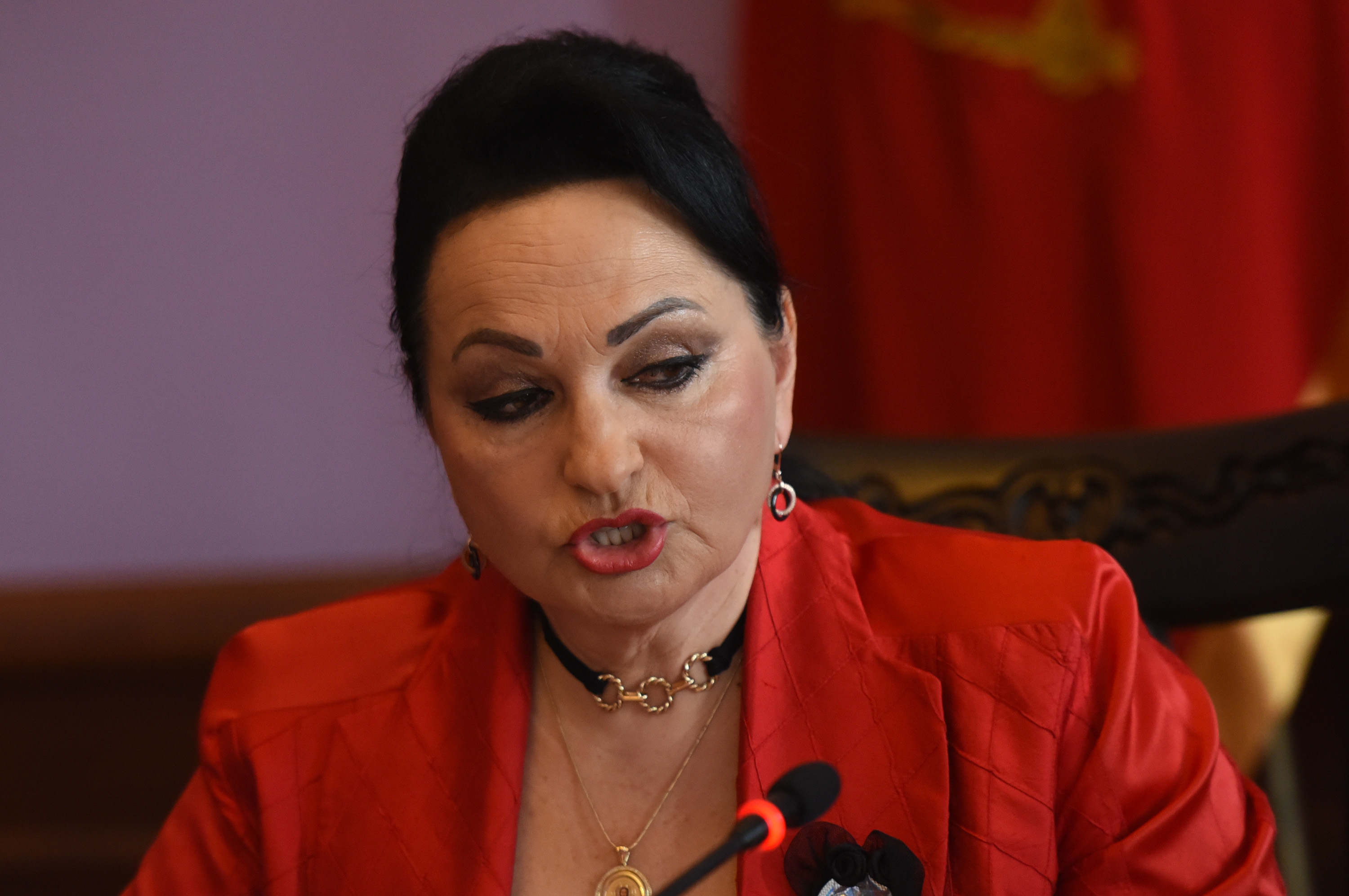 Vesna Medenica