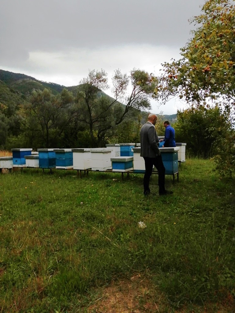 Gvozden Balšić