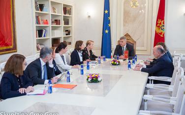 Brajović na sastanku sa delegacijom Nacionalne skupštine Francuske.