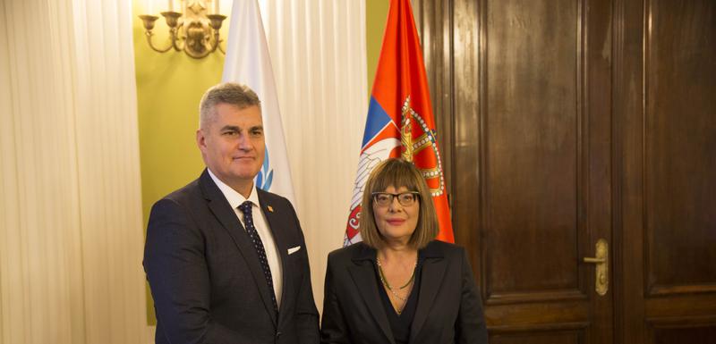 Brajović i Gojković