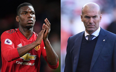 Pogba i Zidan