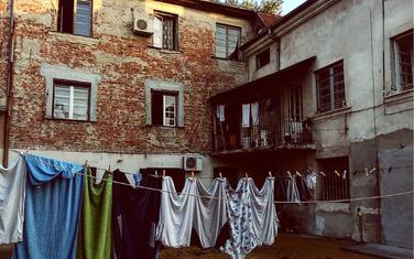 Intima