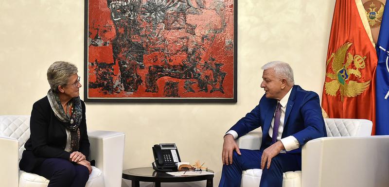 Daresjek i Marković
