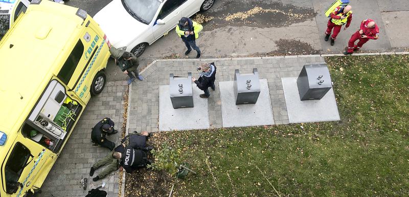 Policija savladava muškarca