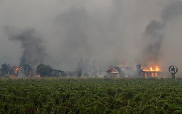Vatra do danas zahvatila površinu od oko 10.000 ari.