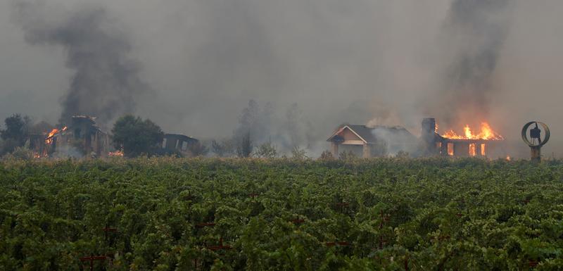 Vatra do danas zahvatila površinu od oko 10.000 ari.