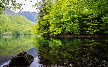 Biogradsko jezero