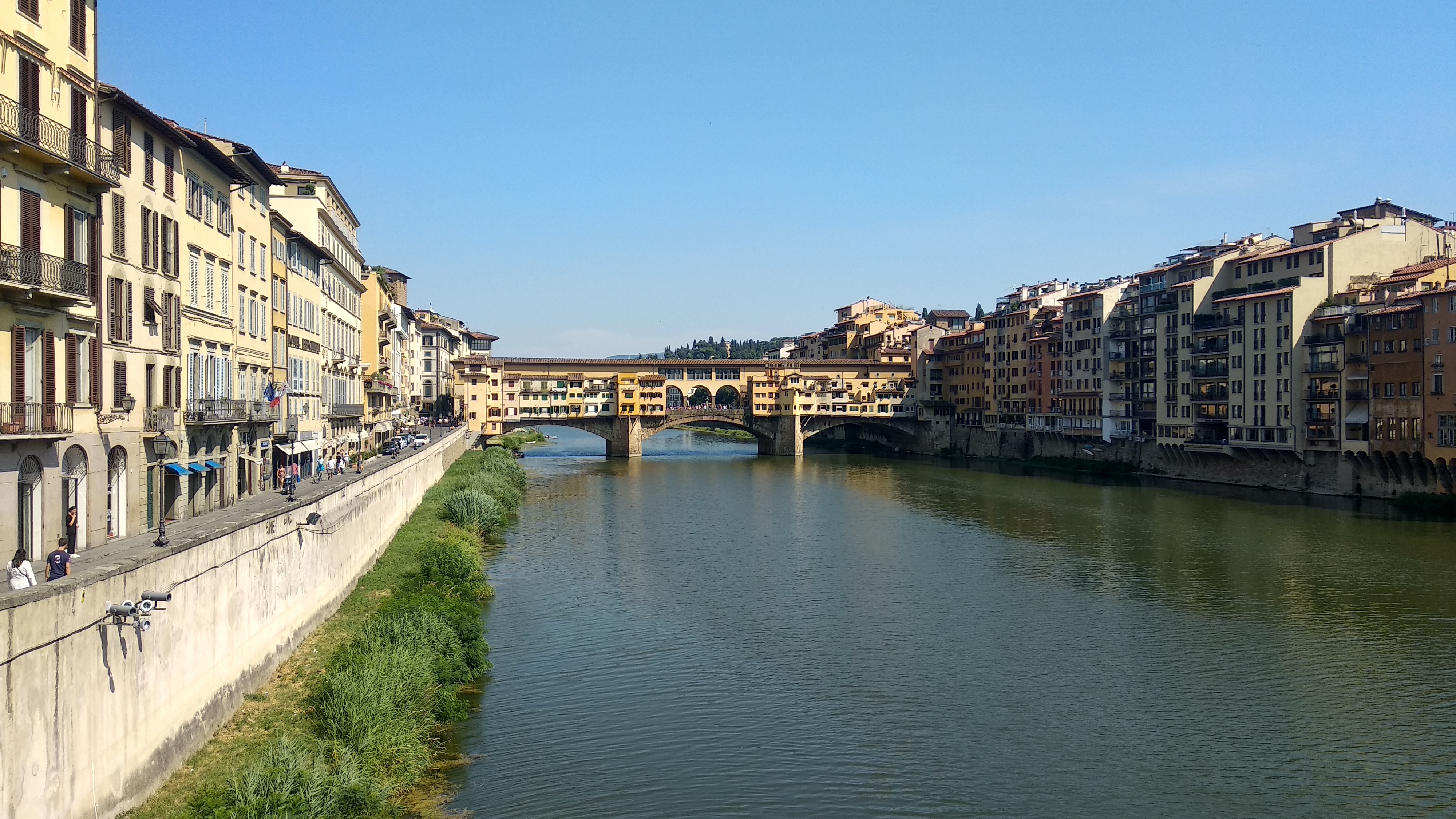 Firenca