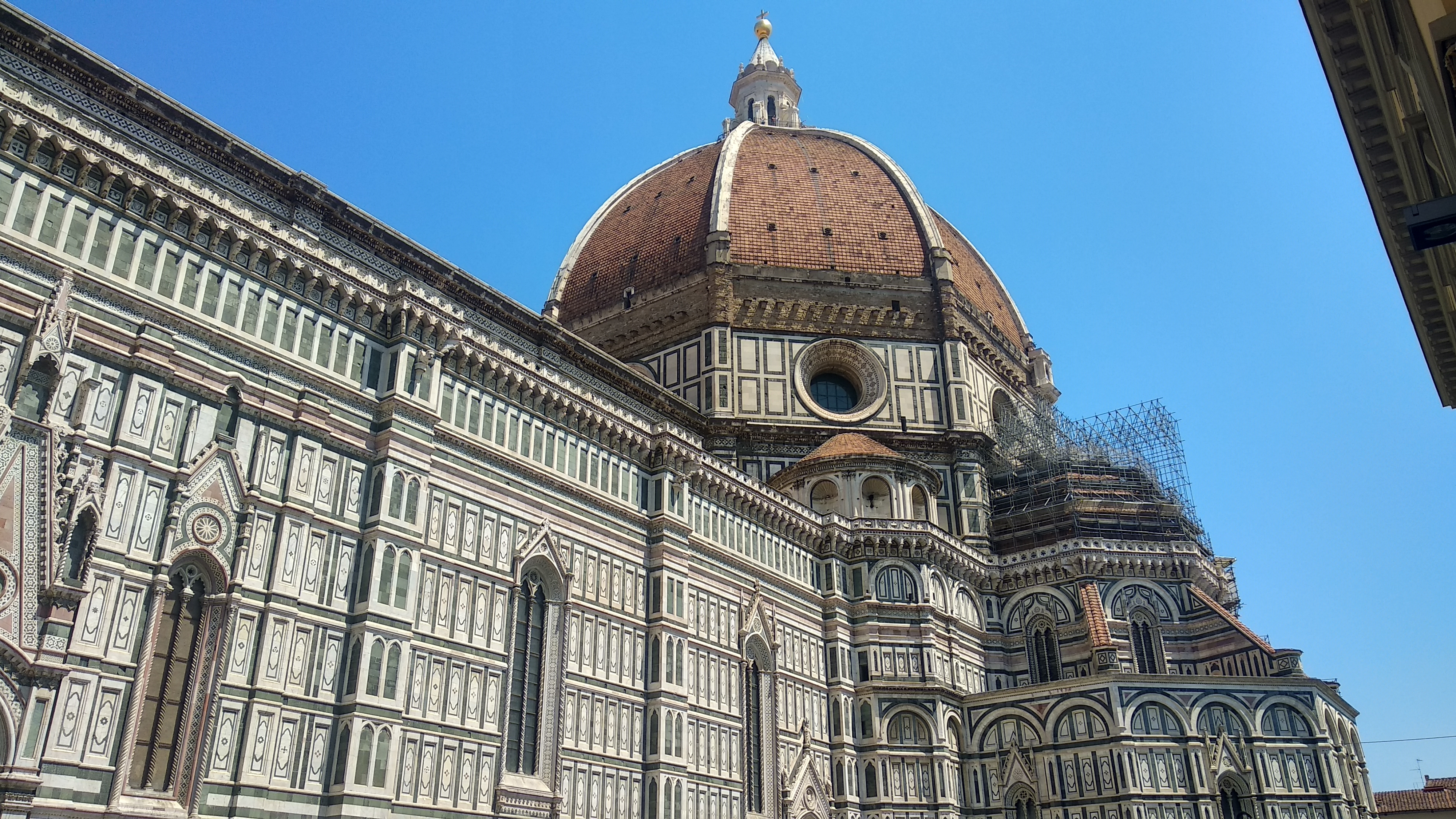 Firenca