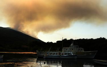 Požar na Luštici 2017.