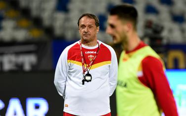 Faruk Hadžibegić