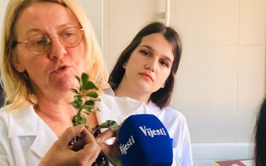 Dječija emisija "Pčelica"