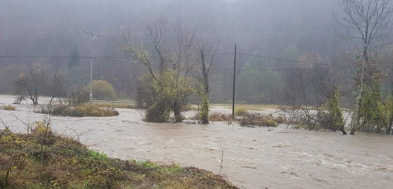 Kolašin, Lugovi