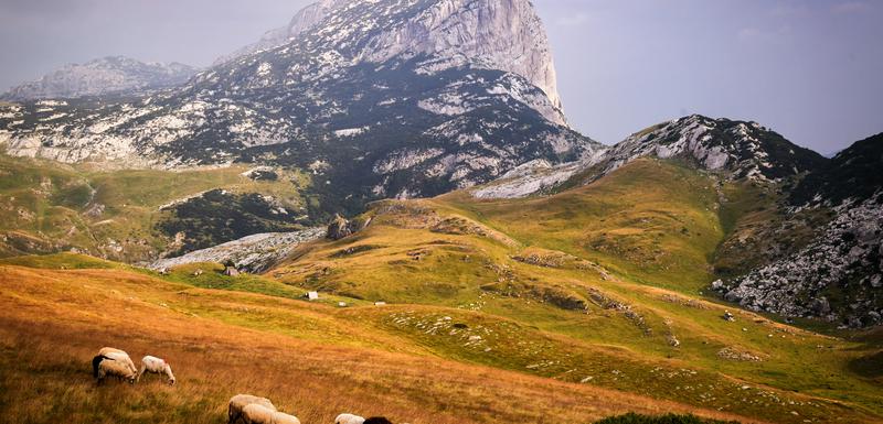 Durmitor