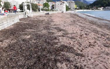 Plaža u Petrovcu