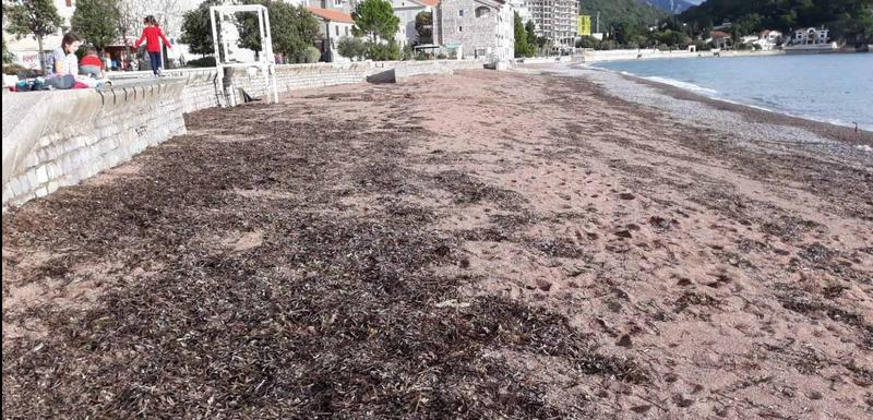 Plaža u Petrovcu