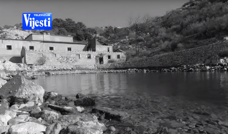 Goli otok