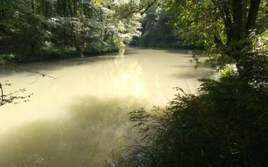 Ćehotina nizvodno od potoka, jul 2019.