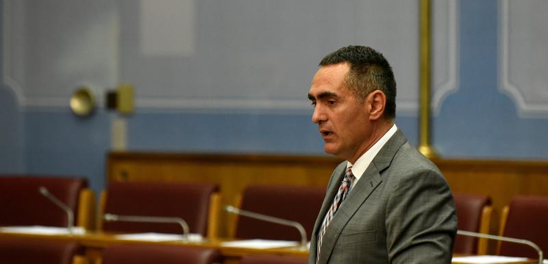 Damjanović u Skupštini