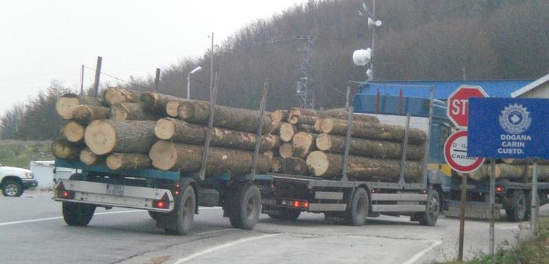 Izvoz drvne građe