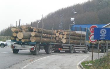 Izvoz drvne građe