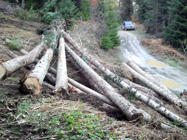 Trošenje šuma za najniži stepen obrade sirovina