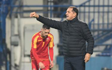 Faruk Hadžibegić