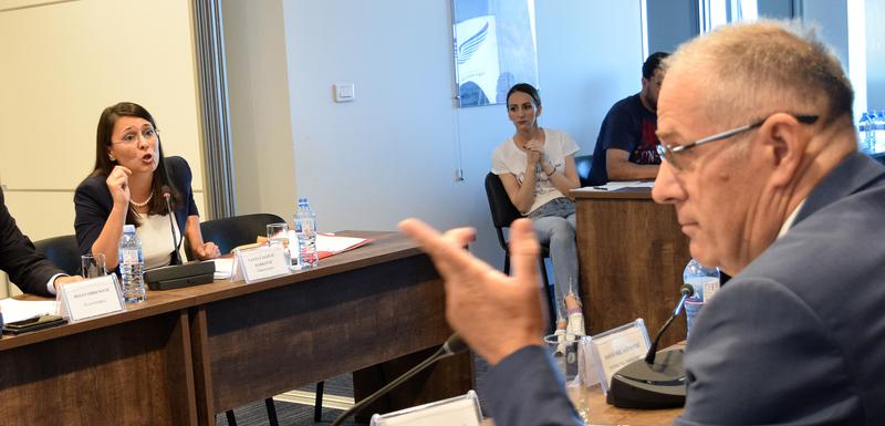 Sa jedne od sjednica prije njene smjene: Ćalović Marković i Radonjić