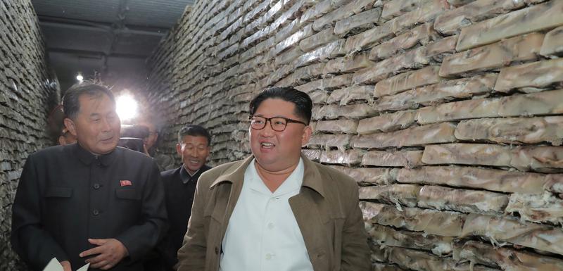 Sjevernokorejski lider Kim Džong Un u posjeti fabrici za preradu ribe