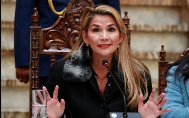 Privremena predsjednica Bolivije, Žanin Anjez