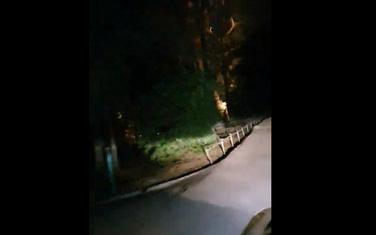 Iz Miločerskog parka