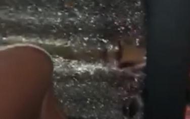 Polomljena stakla na autobusu Budućnosti