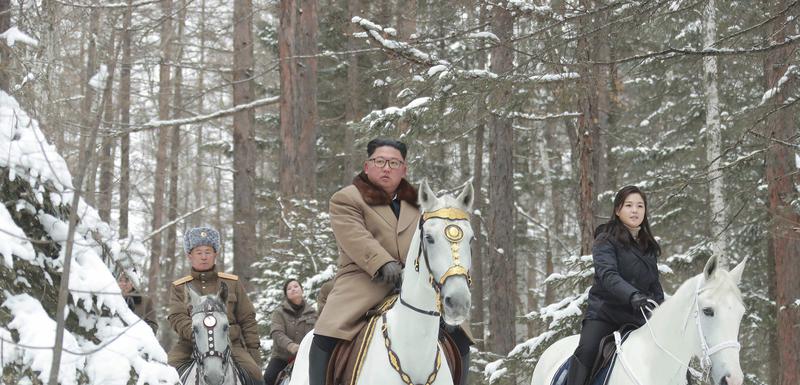 Kim na bijelom konju