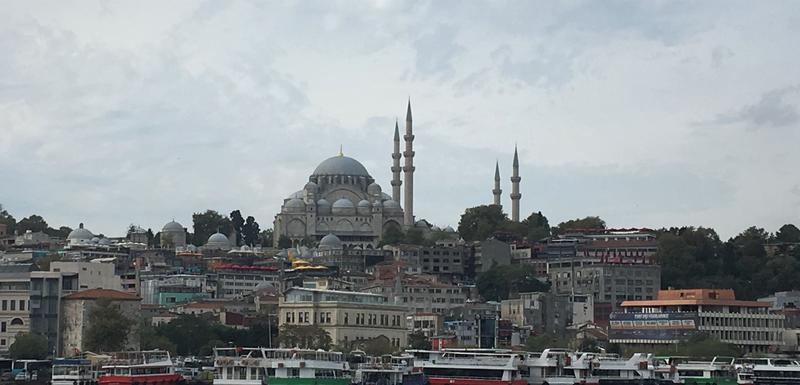 Istanbul sa džamijom Sulejmanijom