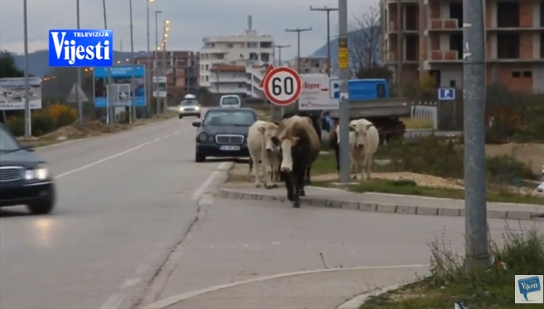 Stouka na putu