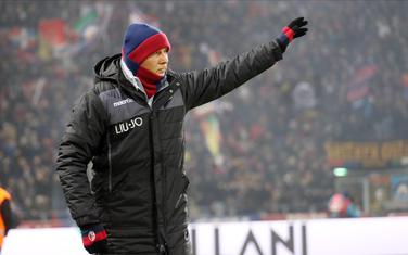 Mihajlović