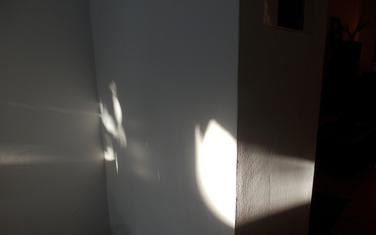 Iz ciklusa "Sjenke i siluete"