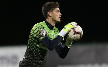 Mišo Dubljanić