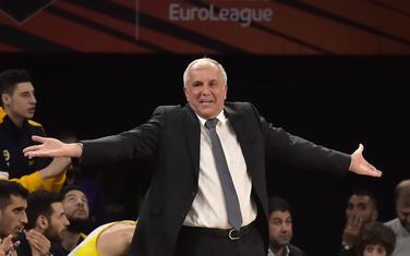 Obradović