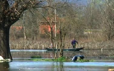 Jutarnji program TV Vijesti