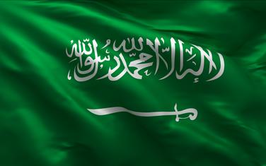 Saudijska Arabija (Ilustracija)